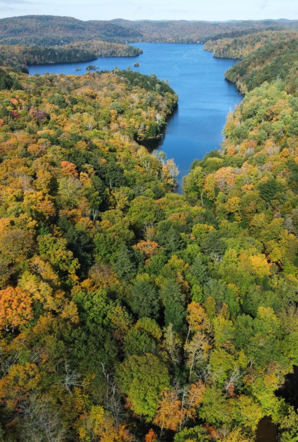 Aerial view of a winding lake surrounded by vibrant autumn forest.