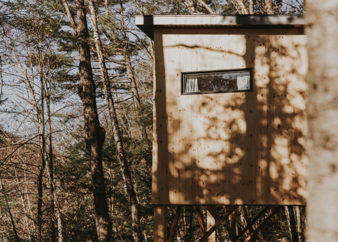 Simple wood cabin with large window in a dense forest.